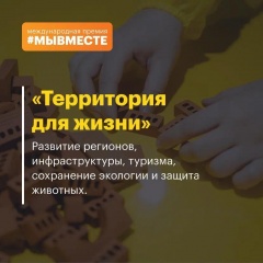 Подведены итоги регионального этапа Международной премии #МЫВМЕСТЕ