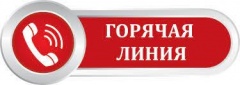 Телефон горячей линии по вопросам предоставления ежемесячной денежной выплаты на детей в возрасте от 3 до 7 лет