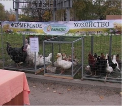 В шестнадцатый раз собрала гостей Великосельская ярмарка.