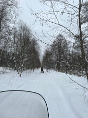 Рейд по обследованию территории