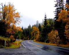 Осенние условия.