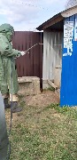 15.JPG