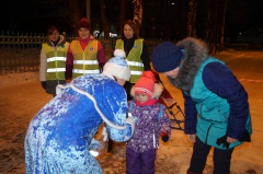         «Родительские патрули» напоминают о правилах безопасности в зимнее время.