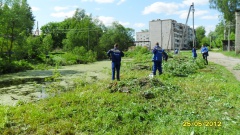 Акция по очистке береговой  зоны водоема  на пересечении улиц Семашко и Пирогова