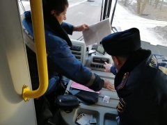             Госавтоинспекторы проводят профилактические мероприятия по профилактике аварийности с пассажирским транспортом и школьными автобусами.