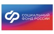 Отделение СФР по Ярославской области оказывает  участникам специальной военной операции и их семьям более 15 различных мер поддержки.
