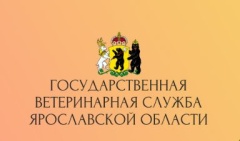 Государственная ветеринарная служба Ярославской области информирует. 