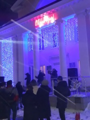 НОВОГОДНЯЯ НОЧЬ 2020. 