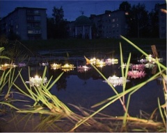 Романтическая акция "Лилия любви".