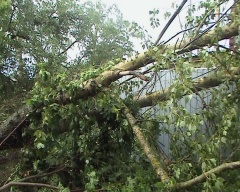 Последствия стихии