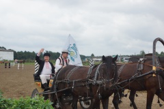 «СЫРМАРКА» 