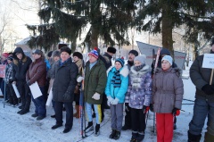 Снежинка Лахости 2014