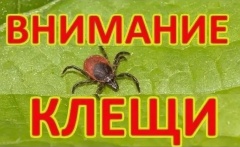 «Горячая линия» по вопросам профилактики инфекций, передающихся клещами