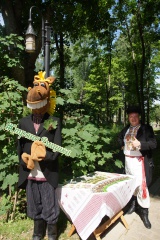 "Бега борзых" 