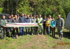 ВСЕРОССИЙСКИЙ ДЕНЬ ПОСАДКИ ЛЕСА