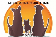 ИНФОРМАЦИЯ о количестве животных, которые не имеют владельцев, а также животных, владельцы которых неизвестны, на территории муниципального образования Ярославской области Гаврилов-Ямский муниципальный район