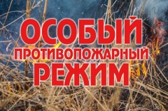 Установлен особый противопожарный режим